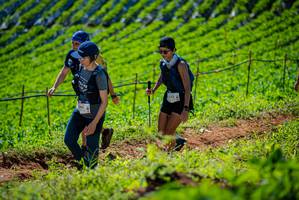 BIB: 1991, 152
                            <button type="button" onclick="openModal(19162533)" class="btn btn-primary btn-sm float-right btn-popup" data-toggle="modal" data-target=".modal-high-quality">
                        <i class="fas fa-shopping-cart"></i> Add to Cart
                    </button>
                                            <button type="button" onclick="isThisMe(19162533, true)" class="btn btn-success btn-sm float-right btn-popup btn-isme hidden" data-toggle="tooltip" data-placement="bottom" title="นี่คือรูปของคุณใช่ไหม คลิกที่นี่เพื่อเอาเข้าอัลบั้ม">
                        <i class="fas fa-plus"></i> Add to album
                    </button>
                    <button type="button" onclick="isThisMe(19162533, false)" class="btn btn-warning btn-sm float-right btn-popup btn-isnotme hidden">
                        <i class="fas fa-ban"></i> Remove from album
                    </button>